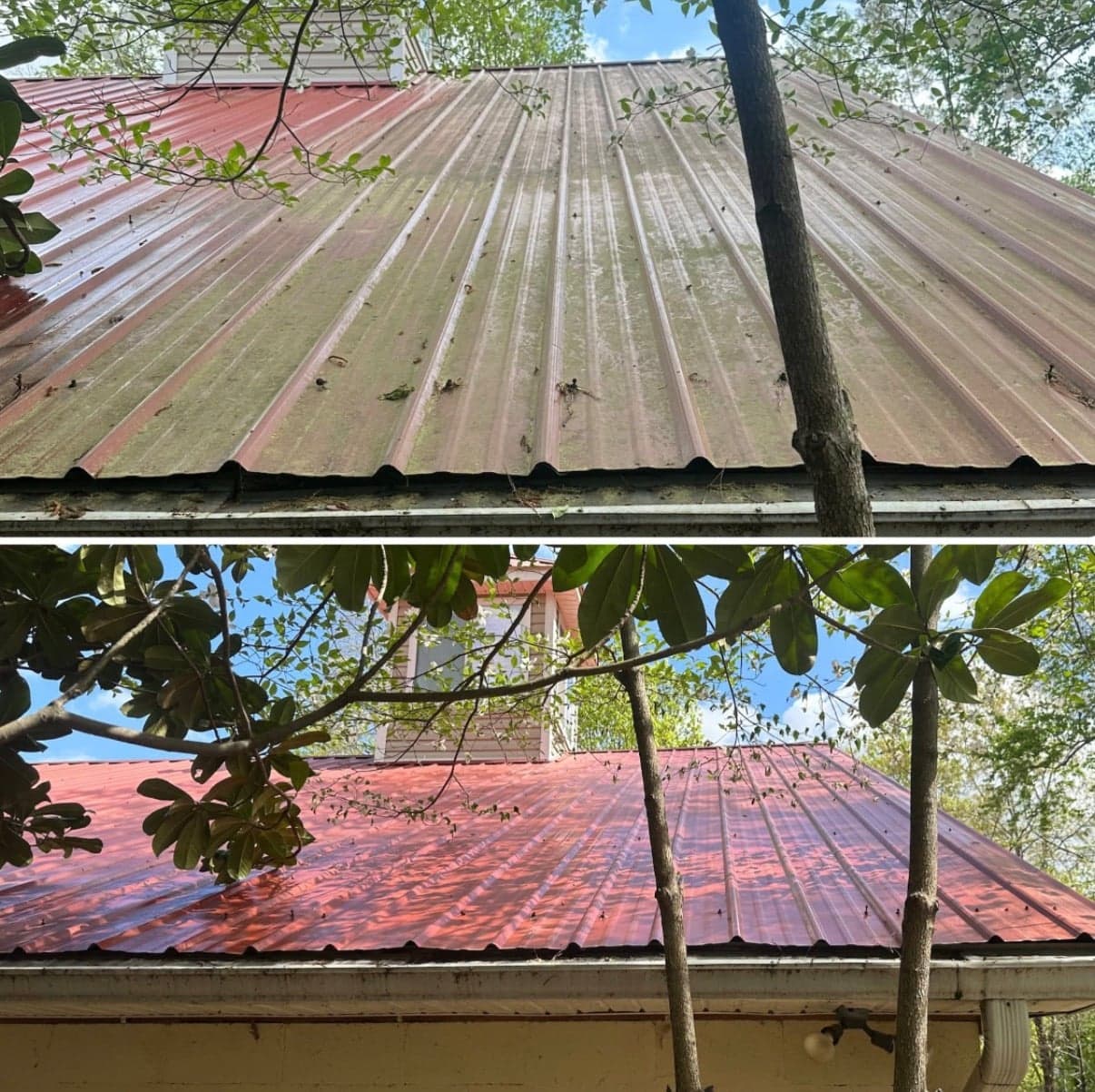 Roof Washing before and after, photo 3